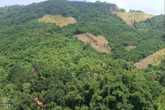 Phát hiện vết nứt dài hơn 50m trên sườn núi, di dời khẩn cấp nhiều hộ dân