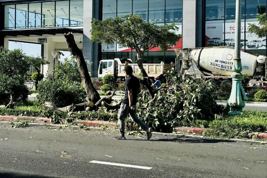 Đắk Lắk: 3 người tử vong, 25 nhà bị sập, hơn 10.000 nhà bị tốc mái và ngập nước