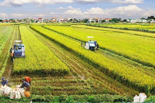 Các trường hợp được miễn thuế sử dụng đất nông nghiệp đến năm 2030