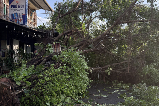 Bão số 13 gây thiệt hại hơn 7.000 tỷ đồng