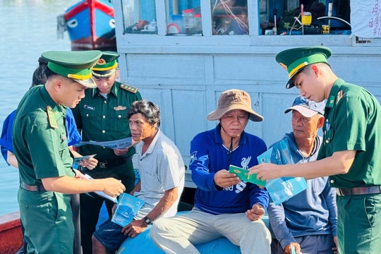 Quảng Ngãi tăng cường kiểm tra, kiểm soát khai thác thủy sản trái phép