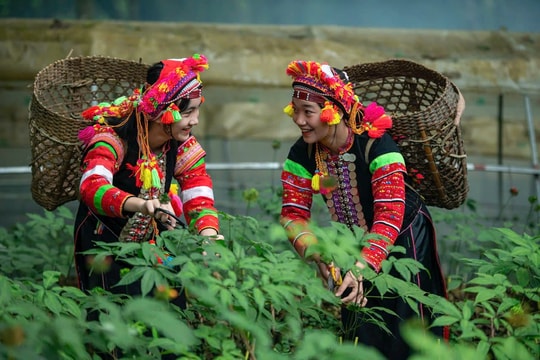 Sắp diễn ra ngày hội tôn vinh giá trị nông sản vùng cao tại Lai Châu