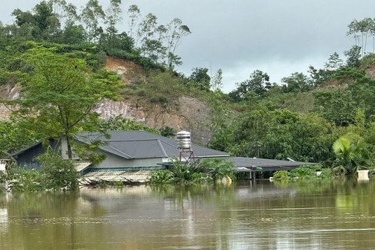 Phú Thọ ban hành chính sách hỗ trợ khôi phục sản xuất nông nghiệp sau thiên tai