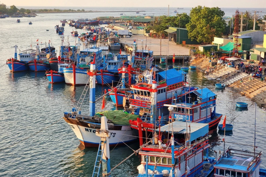 Hải Phòng: Kiểm soát 100% tàu cá ra vào cảng nhằm gỡ “thẻ vàng” IUU