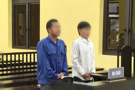 TAND tỉnh Cà Mau xét xử vụ án liên quan đến vi phạm IUU