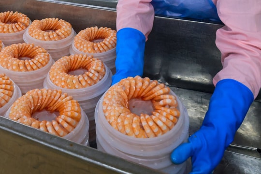 Xuất khẩu thủy sản còn nhiều dư địa bứt phá