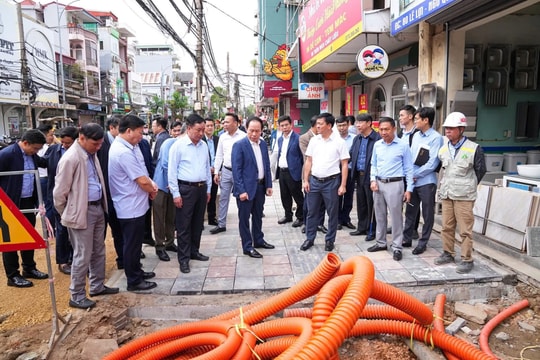 Hải Phòng: Ưu tiên dự án ứng phó với biến đổi khí hậu