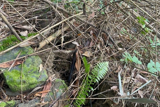 Vết nứt lớn xuất hiện trên tuyến ĐH8, nguy cơ sạt lở cao