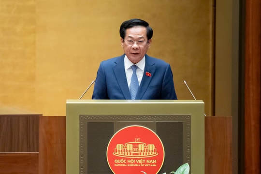 Bộ trưởng Bộ Nội vụ giải trình việc viên chức hoạt động kinh doanh ngoài đơn vị sự nghiệp