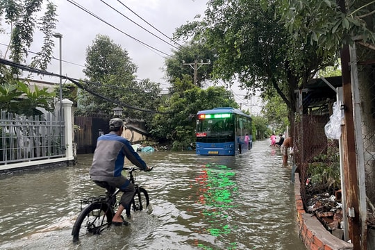 Cơ quan chức năng TP.HCM nói về triều cường lịch sử
