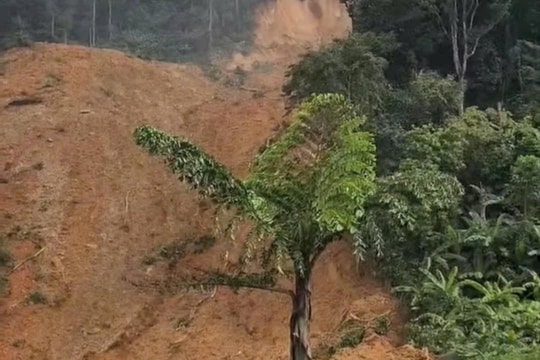 Sạt lở đất bất ngờ, lực lượng chức năng khẩn trương kiểm tra ứng phó