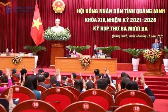 Quảng Ninh thông qua chính sách sữa học đường, quà Tết và học phí mới