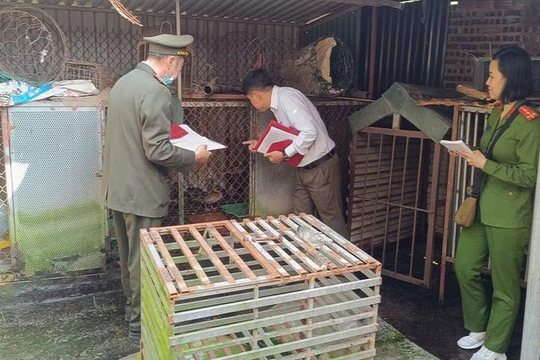 Hơn 4.000 cá thể động vật hoang dã bị nuôi nhốt trái phép