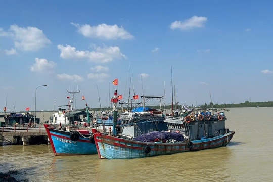 Thanh Hóa: Quyết tâm không còn tàu cá vi phạm đánh bắt hải sản bất hợp pháp