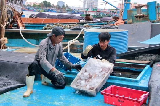 Hoàn thiện chính sách hỗ trợ thủy sản giai đoạn 2026-2030