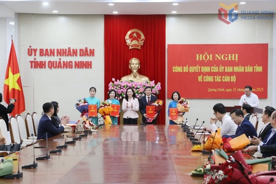 Quảng Ninh công bố loạt quyết định điều động, bổ nhiệm cán bộ tại nhiều đơn vị