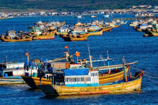 Lâm Đồng quyết tâm cùng cả nước gỡ “Thẻ vàng” IUU