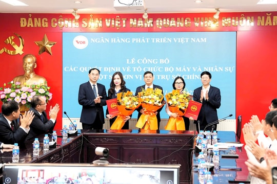 VDB: Sắp xếp tổ chức bộ máy gắn với mô hình quản lý rủi ro tín dụng