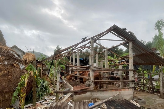 Lốc xoáy lúc rạng sáng làm hư hại 20 nhà dân ở Quảng Ngãi