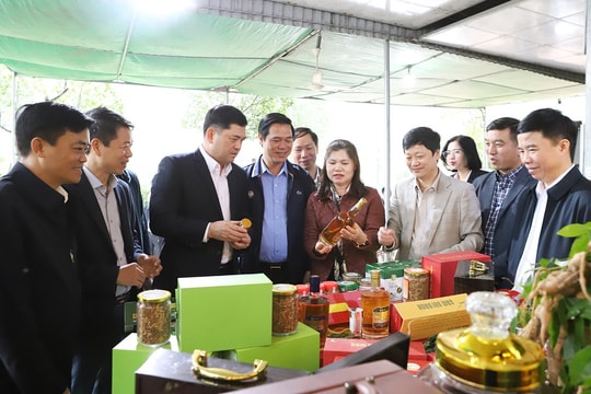 Bắc Ninh: Bí thư Tỉnh ủy thăm, kiểm tra một số mô hình sản xuất nông nghiệp tiêu biểu