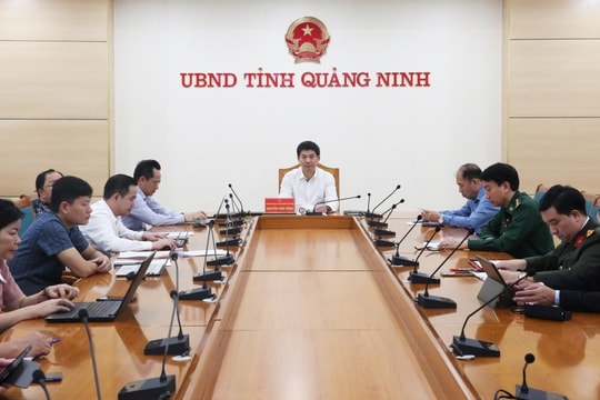 Quảng Ninh tăng cường chống khai thác hải sản IUU, quyết tâm gỡ “thẻ vàng” của EC