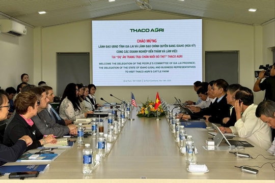 Đoàn công tác của Bộ Nông nghiệp Hoa Kỳ làm việc tại Trang trại chăn nuôi bò thịt THACO