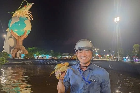 Đổi mới sáng tạo và phát triển bền vững ngành cua biển