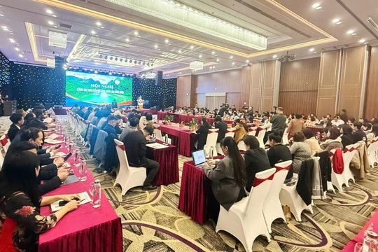 Xúc tiến và định vị thương hiệu du lịch quốc gia