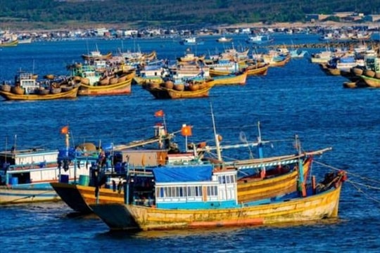 Không ghi nhật ký khai thác thủy sản bị phạt tới 700 triệu đồng
