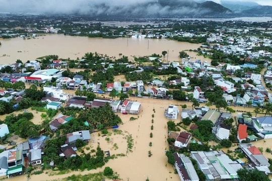 Mưa lớn, lũ quét, sạt lở làm 10.055 ha lúa, hoa màu bị thiệt hại