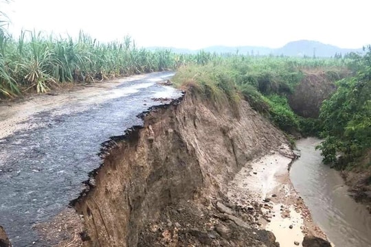 Gia Lai: Không để xảy ra thiệt hại đáng tiếc do chủ quan, bất cẩn trong và sau lũ