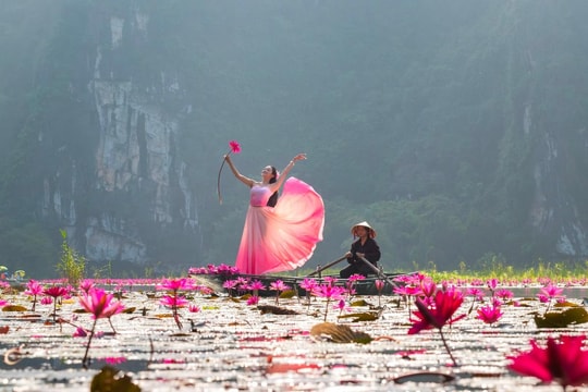 Sắc hồng Tam Cốc - Bản tình ca mùa thu giữa lòng di sản Tràng An
