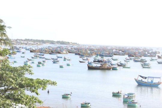Ghi từ phiên tòa giả định về chống khai thác IUU