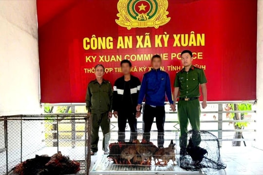 Bắt tạm giam cặp đôi trộm 24 con gà của người dân
