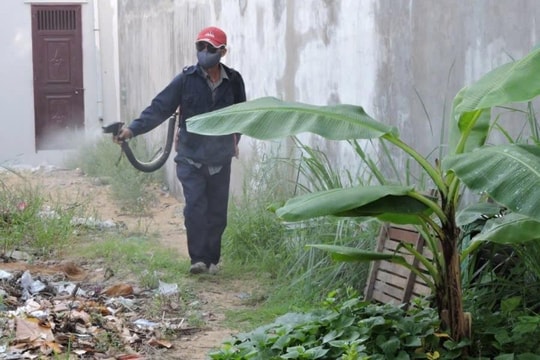 Đà Nẵng chủ động kiểm soát dịch sốt xuất huyết