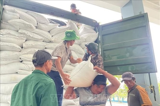 Xuất cấp 4.000 tấn gạo dự trữ quốc gia hỗ trợ các tỉnh chịu thiệt hại do mưa lũ