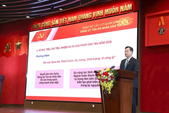 Thực hiện đồng bộ giải pháp nâng cao chất lượng xét xử các loại vụ việc