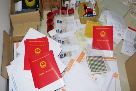 Bị cáo cầm đầu đường dây làm giả giấy tờ, bằng cấp lĩnh án