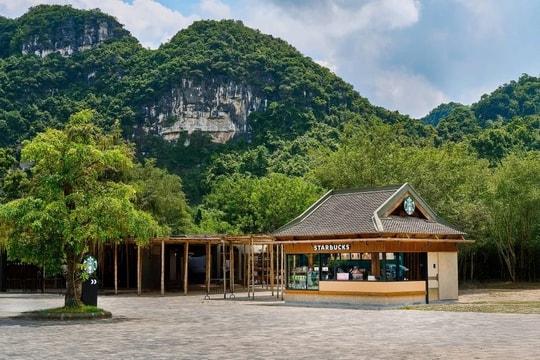 Cuộc dịch chuyển của những thương hiệu cà phê lớn