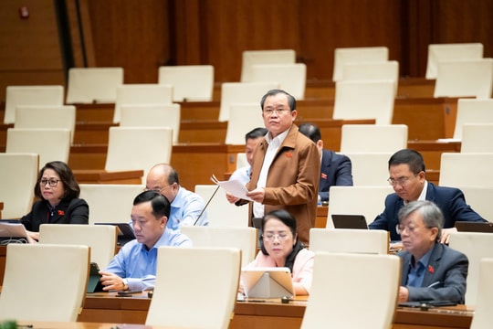 Hôm nay, Quốc hội thảo luận dự án luật ma túy (sửa đổi)