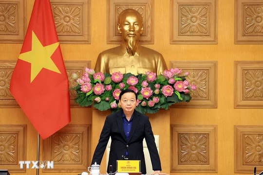 Tập trung khắc phục hậu quả mưa lũ, khẩn trương ứng phó bão số 15