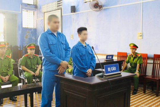 Đôi bạn cùng lĩnh án tù vì trộm cắp