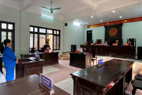 Lập sổ nợ giả chiếm đoạt 588 triệu, nữ giám đốc lĩnh 7 năm tù