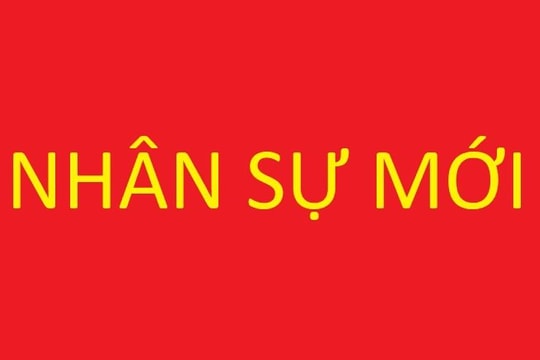 Thủ tướng phê chuẩn nhân sự Chủ tịch, Phó Chủ tịch UBND các tỉnh Quảng Trị, Đồng Tháp và Vĩnh Long