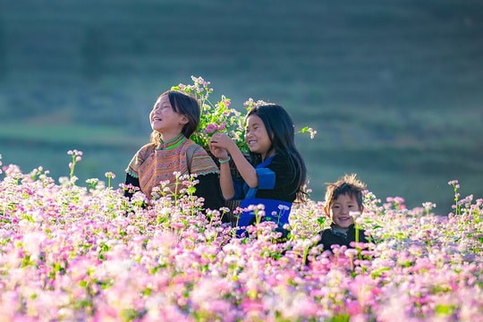 Từ những mùa hoa ký ức đến dấu ấn du lịch mới của Tuyên Quang