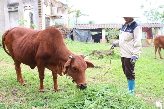 Thái Nguyên tạo chuyển biến rõ nét trong giảm nghèo bền vững