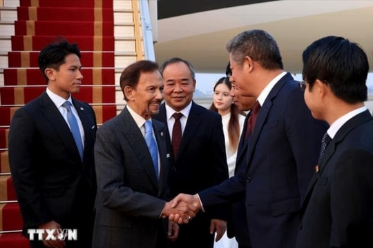 Quốc vương Brunei đến Hà Nội, bắt đầu chuyến thăm cấp Nhà nước tới Việt Nam