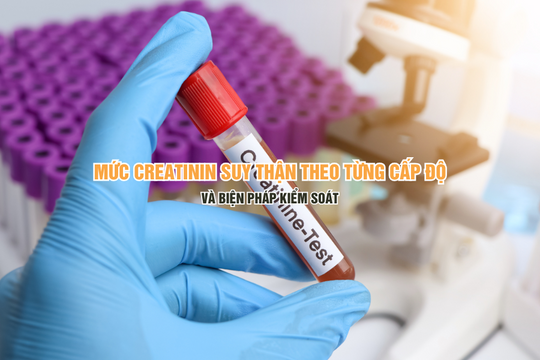 Mức creatinin suy thận theo từng cấp độ và biện pháp kiểm soát
