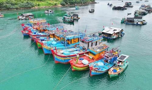 An Giang với nỗ lực gỡ “Thẻ vàng” cho ngành thủy sản