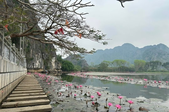 Mê đắm cảnh sắc Kim Sơn